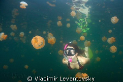 Swimming with jellies in Palau's famous jellyfish lake. by Vladimir Levantovsky 